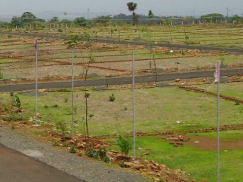 Amolik Plots